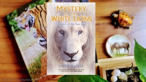 Mystery of the White Lions. Mystery of the White Lions. 