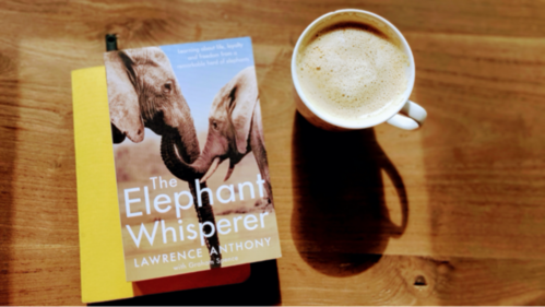 The Elephant Whisperer. The Elephant Whisperer. 