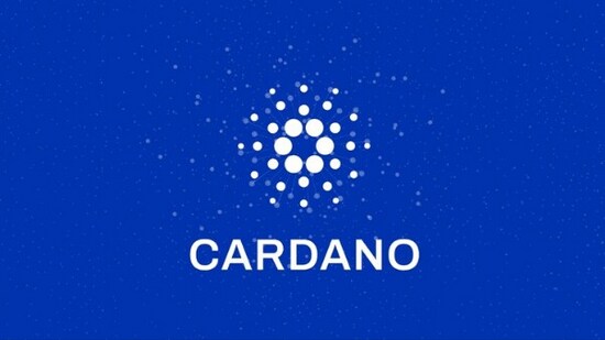 The searches for Cardano are increasing in July 2022 due to the upcoming Vasil hard fork scheduled at the end of the month.