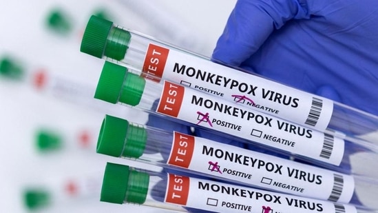 A surge in monkeypox infections has been reported since early May outside the West and Central African countries.(File) A surge in monkeypox infections has been reported since early May outside the West and Central African countries.(File)
