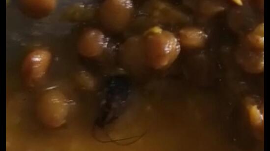 A patient has complained of the presence of a cockroach in the food he was served at Vashi General Hospital. Navi Mumbai Municipal Corporation has sent show cause notice to the caterer. Shown here is the screenshot of the video that went viral. (HT PHOTO)