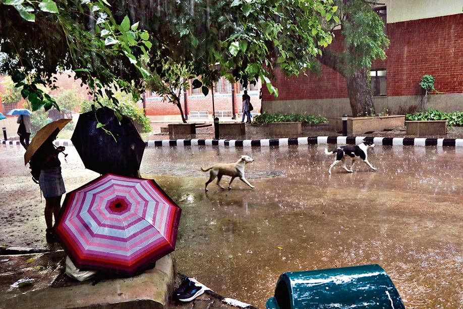 Rimjhim, rimjhim: Shelter under the tree made for a blissful setting for some of the students from North Campus who welcomed the rain with plenty of smiles.
