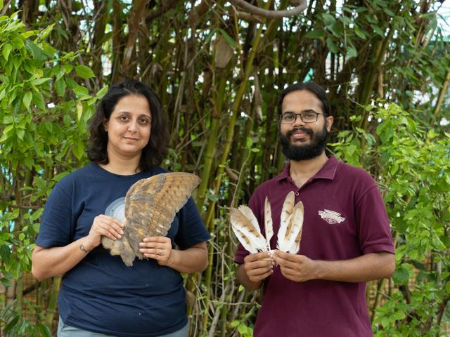 Esha Munshi (left) started the feather library along with Sherwin Everett, an avian rehabilitator, in collaboration with the Jivdaya Charitable Trust, an animal hospital in Ahmedabad where Everett works as the hospital curator. (Feather Library / Mital Patel) Esha Munshi (left) started the feather library along with Sherwin Everett, an avian rehabilitator, in collaboration with the Jivdaya Charitable Trust, an animal hospital in Ahmedabad where Everett works as the hospital curator. (Feather Library / Mital Patel)