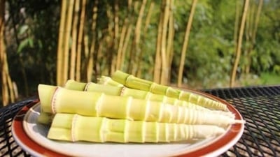 Strengthen immunity: Consuming bamboo shoots just before the arrival of winter will keep you away from viral and bacterial infections. (Pinterest) Strengthen immunity: Consuming bamboo shoots just before the arrival of winter will keep you away from viral and bacterial infections. (Pinterest)