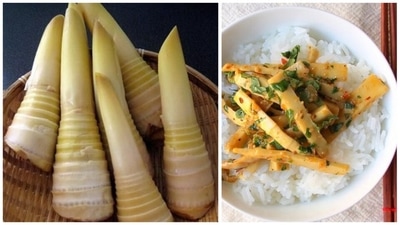 Bamboo shoot is not as popular in mainland India as it is in the Northeastern states of India. It has an acquired taste so do not think you will love it on your first try. A lot of their cuisines revolve around fresh or fermented bamboo shoots. While it provides a distinct flavour to the dish, it also has some magical health benefits which not many are aware of. (Pinterest) Bamboo shoot is not as popular in mainland India as it is in the Northeastern states of India. It has an acquired taste so do not think you will love it on your first try. A lot of their cuisines revolve around fresh or fermented bamboo shoots. While it provides a distinct flavour to the dish, it also has some magical health benefits which not many are aware of. (Pinterest)