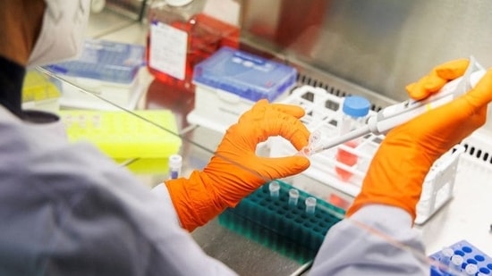 Monkeypox: An employee of the vaccine company Bavarian Nordic works in a laboratory of the company in Martinsried near Munich, Germany, The company, headquartered in Denmark, is the only one in the world to have approval for a smallpox vaccine called Jynneos in the U.S. and Imvanex in Europe, which is also effective against monkeypox.&nbsp;(REUTERS)