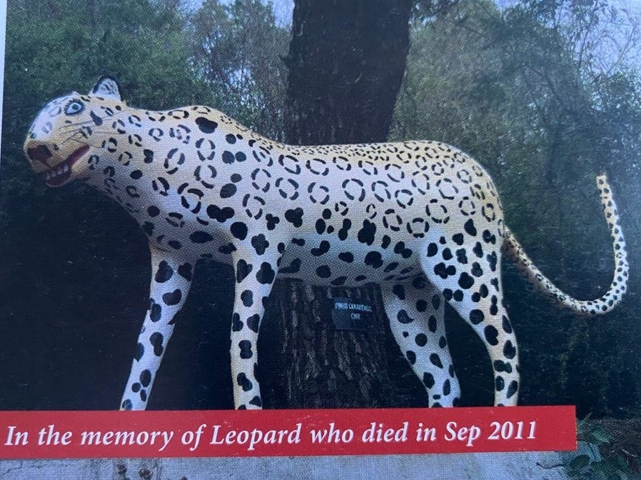 Statue in memory of female leopard at GOC’s residence, Rajouri. (PHOTO COURTESY: LT GEN KH SINGH (RETD.)) Statue in memory of female leopard at GOC’s residence, Rajouri. (PHOTO COURTESY: LT GEN KH SINGH (RETD.))