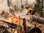A fast-moving wildfire near Yosemite National Park exploded in size Saturday into one of California's largest wildfires of the year, prompting evacuation orders for thousands of people and shutting off power to more than 2,000 homes and businesses. A fast-moving wildfire near Yosemite National Park exploded in size Saturday into one of California's largest wildfires of the year, prompting evacuation orders for thousands of people and shutting off power to more than 2,000 homes and businesses. 