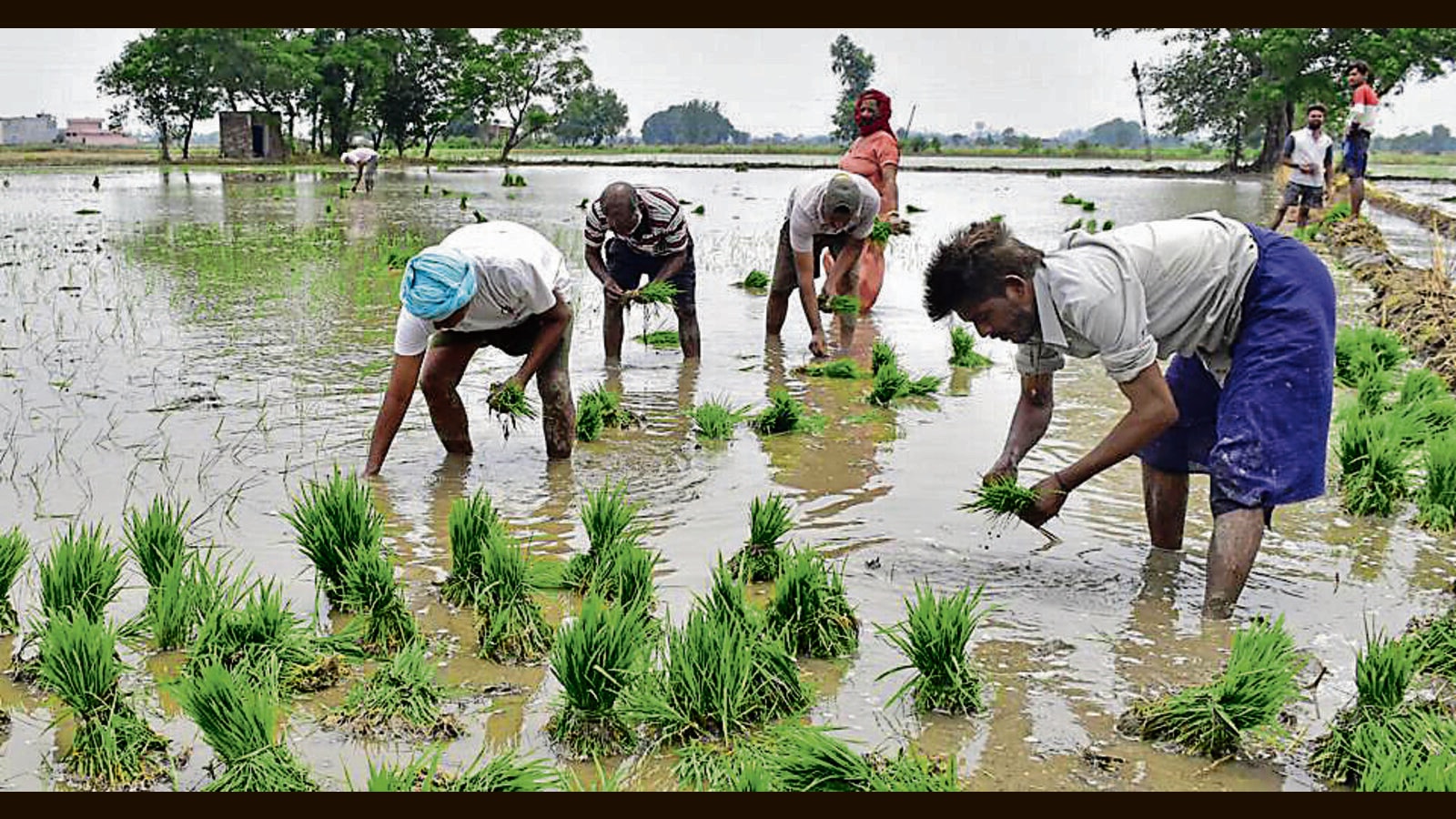 India needs climate-resilient farming