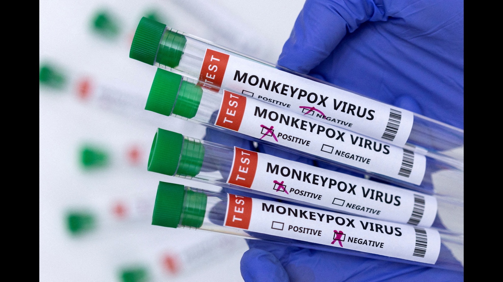 Maharashtra on alert as India reports 4th monkeypox case Hindustan Times