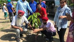 PAC members planting a sapling during the plantation drive in Mattewara forest in Ludhiana. (HT PHOTO)