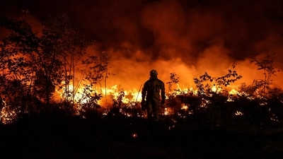 A tactical firefighter set fires to burn a plot of land as firefighters attempt to prevent the wild fire from spreading due to wind change near Louchats in Gironde, southwestern France. (AFP)