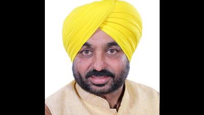 Punjab chief minister Bhagwant Mann on Sunday asked the water supply and sanitation department to expedite the process for setting up solar-powered water supply schemes in the state.