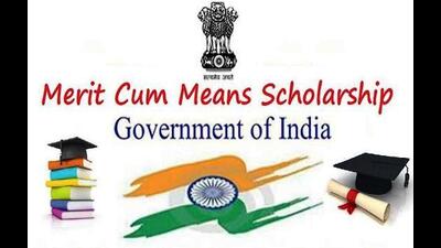 NMMSS logo. (HT photo)