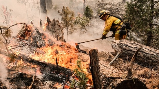 A fast-moving wildfire near Yosemite National Park exploded in size Saturday into one of California's largest wildfires of the year, prompting evacuation orders for thousands of people and shutting off power to more than 2,000 homes and businesses. (Bloomberg)