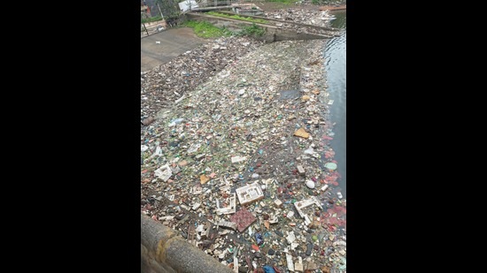 Residents alleged that the lake which is now filthy is cleaned only on Independence and Republic Day every year. (HT PHOTO) Residents alleged that the lake which is now filthy is cleaned only on Independence and Republic Day every year. (HT PHOTO)