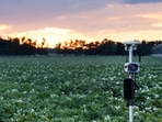 Arable makes solar-powered weather stations that help farms utilize resources such as water and fertilizer.Source: Arable. Arable makes solar-powered weather stations that help farms utilize resources such as water and fertilizer.Source: Arable.