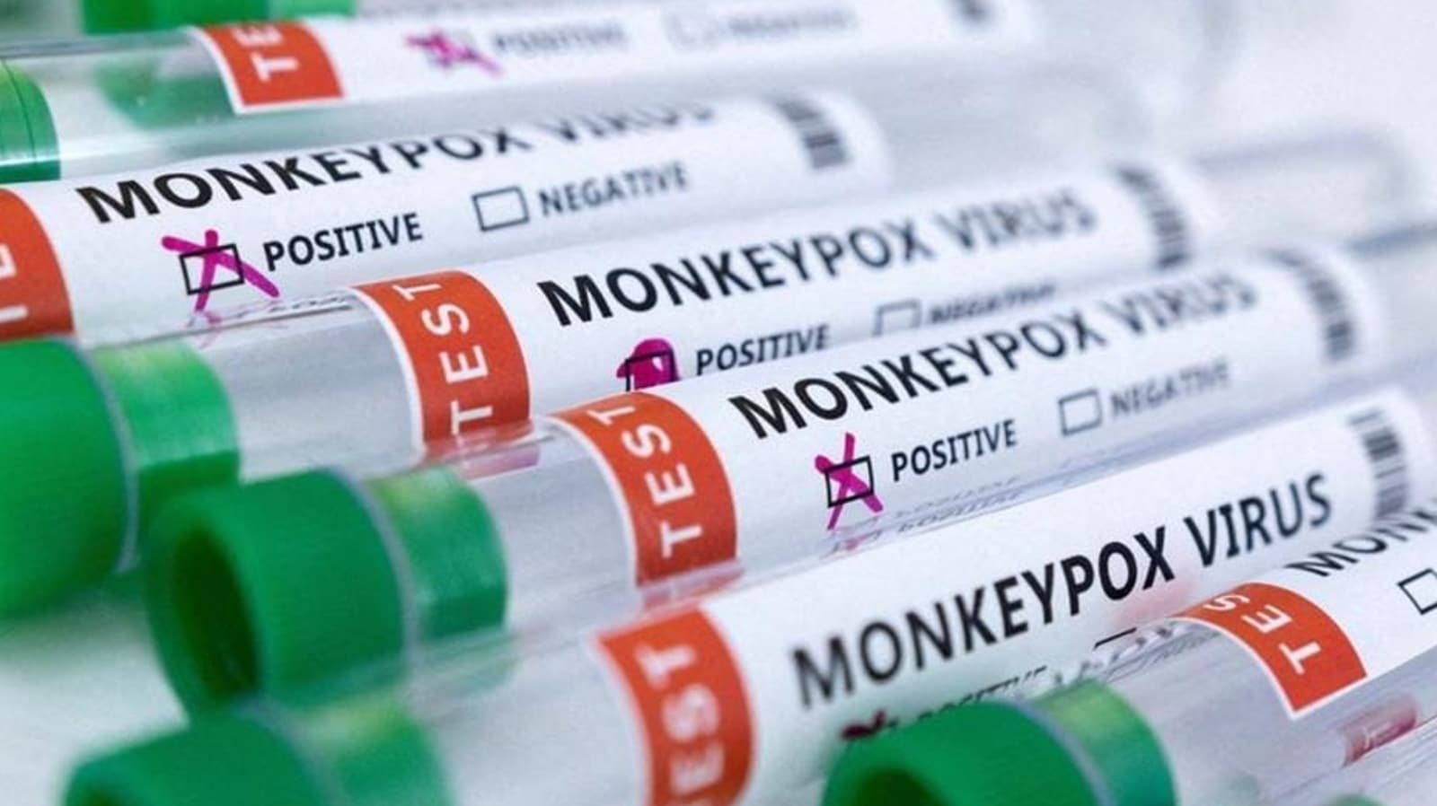Sesión informativa de la tarde: el centro emite un aviso sobre los síntomas y las precauciones de la viruela del mono |  Últimas noticias de la India