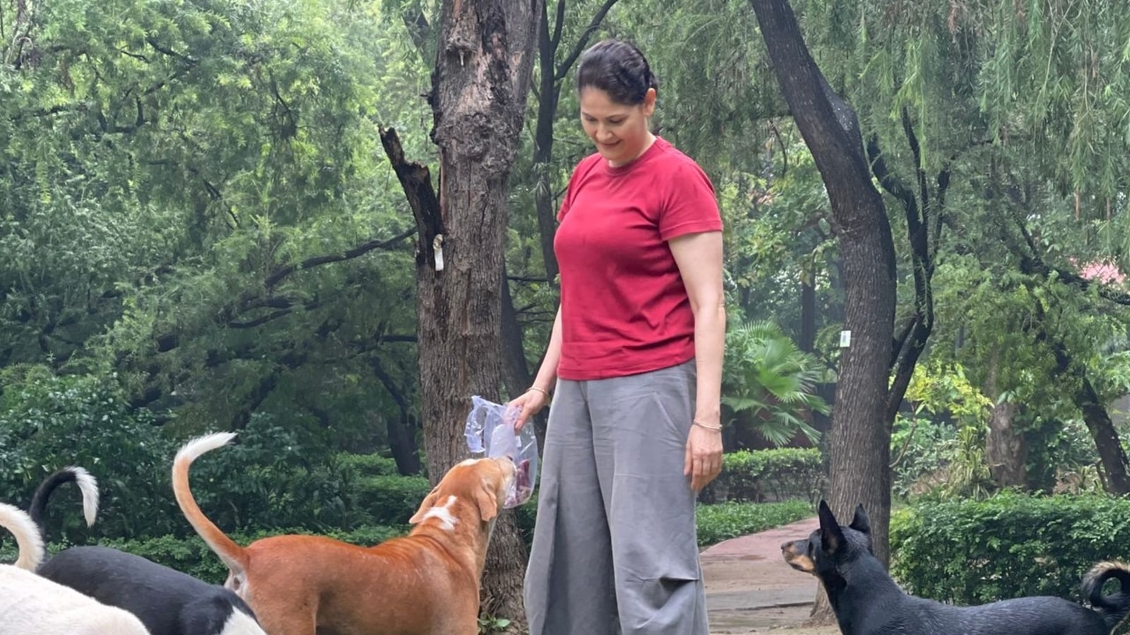 Kavita Joshi Bf Xnxx - Delhiwale | The dog lady of Lodhi Garden | Latest News Delhi - Hindustan  Times