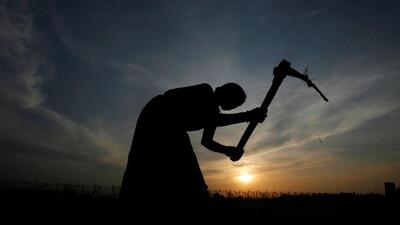 The data on paddy sowing this monsoon is available only up to July 15 and does not show if things have changed in the past week. (Reuters file image) The data on paddy sowing this monsoon is available only up to July 15 and does not show if things have changed in the past week. (Reuters file image)