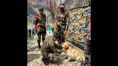 The image shows the Northern Army Commander Lt Gen Upendra Dwivedi commending the army dog named Holi.&nbsp;