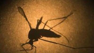 The second case of Zika was reported in the Palghar district on July 13 this year when a 9-year-old student died here. (REPRESENTATIVE PHOTO) The second case of Zika was reported in the Palghar district on July 13 this year when a 9-year-old student died here. (REPRESENTATIVE PHOTO)