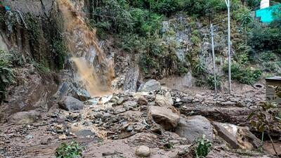 A new rule that empowers provincial authorities to refer proposals to divert forest land for other uses even in protected wildlife habitats to the central government, which can then approve the diversion, has raised concerns that it would have an adverse impact on ecology and wildlife. (PTI) A new rule that empowers provincial authorities to refer proposals to divert forest land for other uses even in protected wildlife habitats to the central government, which can then approve the diversion, has raised concerns that it would have an adverse impact on ecology and wildlife. (PTI)