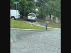 The image shows a kid dressed as a Chucky doll roaming in an US neighbourhood.