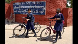 Overall, the pass percentage of Chandigarh government schools in Class 10 was 74.1%, a major drop from 96.6% in 2021. (HT Photo)