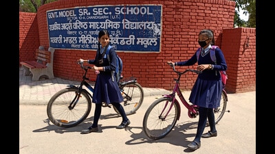 Overall, the pass percentage of Chandigarh government schools in Class 10 was 74.1%, a major drop from 96.6% in 2021. (HT Photo) Overall, the pass percentage of Chandigarh government schools in Class 10 was 74.1%, a major drop from 96.6% in 2021. (HT Photo)