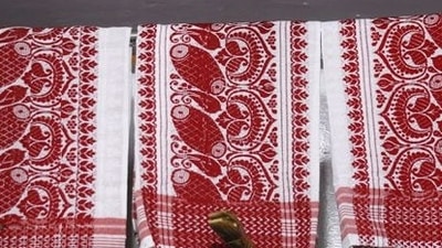 The red border is called the "anchu" and is believed to be the sign of Ahom strength. "Anchu” was derived from a certain red flower which was also known as “anchu”. (Pinterest) The red border is called the "anchu" and is believed to be the sign of Ahom strength. "Anchu” was derived from a certain red flower which was also known as “anchu”. (Pinterest)