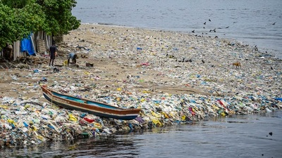 When plastic materials such as carrier bags break down in water, they release simple carbon compounds slightly different to those produced when organic matter such as twigs and leaves disintegrate. (PTI)