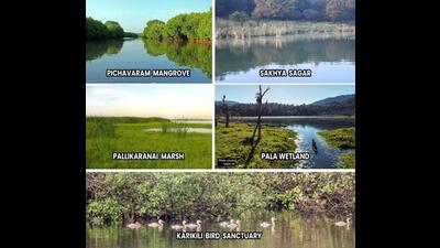 The five new Ramsar sites that have been given the tag ‘wetlands of international importance’. (Twitter Photo) The five new Ramsar sites that have been given the tag ‘wetlands of international importance’. (Twitter Photo)