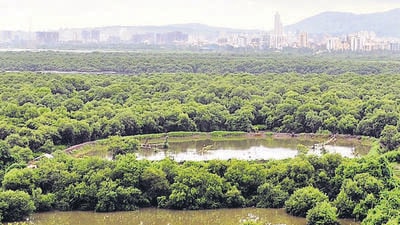 Bharat Petroleum is hoping to connect its refinery in Mahul in Mumbai to an upcoming petrochemical complex in Rasayani in Raigad district, about 53 km away by road (HT Photo) Bharat Petroleum is hoping to connect its refinery in Mahul in Mumbai to an upcoming petrochemical complex in Rasayani in Raigad district, about 53 km away by road (HT Photo)