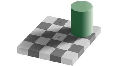 The optical illusion shows a checkerboard with light and dark squares, partly shadowed by another object. (Persci) The optical illusion shows a checkerboard with light and dark squares, partly shadowed by another object. (Persci)