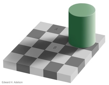 Optical illusion created by Edward H. Adelson in 1995. (Persci) Optical illusion created by Edward H. Adelson in 1995. (Persci)