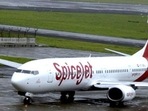 DGCA orders SpiceJet to operate just 50 pc of approved flights for 8 weeks following multiple snags.