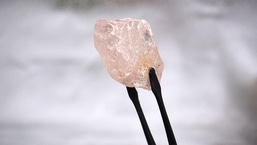 O diamante rosa de 170 quilates na foto - apelidado de A Rosa de Lulo foi descoberto na mina de Lulo, na região nordeste rica em diamantes de Angola.