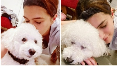 Kriti Sanon loves to share her ‘pawsome moments’ on Instagram. During the Covid-19 pandemic, she had shared some lovely pictures with Disco to make her fans aware about how pets don't spread the virus. She asked her fans to stay calm, give them love and spend some time with their pets. Kriti Sanon loves to share her ‘pawsome moments’ on Instagram. During the Covid-19 pandemic, she had shared some lovely pictures with Disco to make her fans aware about how pets don't spread the virus. She asked her fans to stay calm, give them love and spend some time with their pets. 