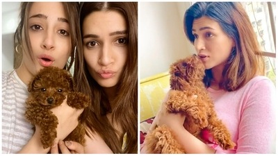 Kriti Sanon and sister Nupur Sanon welcomed Phoebe in January, 2020. Introducing her on Instagram, Kriti had written, “Disco has a new friend at home.. girlfriend or sister— yet to be decided!” The brown furball has some of the cutest pictures on Kriti's Instagram page. Kriti Sanon and sister Nupur Sanon welcomed Phoebe in January, 2020. Introducing her on Instagram, Kriti had written, “Disco has a new friend at home.. girlfriend or sister— yet to be decided!” The brown furball has some of the cutest pictures on Kriti's Instagram page. 