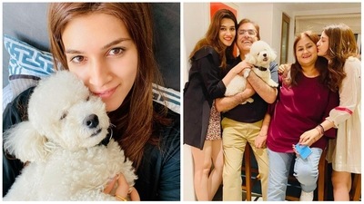 Kriti Sanon's white munchkin, named Disco Ball, receives a lot of love from her entire family. They even celebrate his birthday on October 31. Wishing him in 2020, Kriti had called him "my handsomest pawsomest baby” in a special birthday post for him. Kriti Sanon's white munchkin, named Disco Ball, receives a lot of love from her entire family. They even celebrate his birthday on October 31. Wishing him in 2020, Kriti had called him "my handsomest pawsomest baby” in a special birthday post for him. 