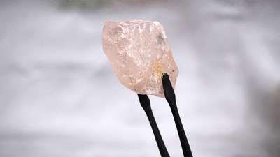 The 170 carat pink diamond in the picture- dubbed The Lulo Rose was discovered at the Lulo mine in Angola's diamond-rich northeast region. (AFP)