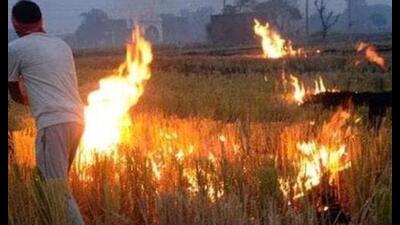 Delhi chief minister and Aam Aadmi Party (AAP) national convener Arvind Kejriwal on Wednesday said the Punjab government has sent a proposal to the Commission for Air Quality Management (CAQM) to give cash incentive to farmers in the state for not burning stubble. Delhi chief minister and Aam Aadmi Party (AAP) national convener Arvind Kejriwal on Wednesday said the Punjab government has sent a proposal to the Commission for Air Quality Management (CAQM) to give cash incentive to farmers in the state for not burning stubble.