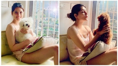 Kriti Sanon may not be dating anyone but her lovely pics with her two munchkins, Disco and Phoebe, on Instagram, prove there is too much love in her life. The two furballs keep the actor on her toes during her time at home. Kriti Sanon may not be dating anyone but her lovely pics with her two munchkins, Disco and Phoebe, on Instagram, prove there is too much love in her life. The two furballs keep the actor on her toes during her time at home.