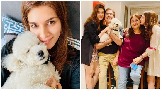 Kriti Sanon's white munchkin, named Disco Ball, receives a lot of love from her entire family. They even celebrate his birthday on October 31. Wishing him in 2020, Kriti had called him "my handsomest pawsomest baby” in a special birthday post for him.&nbsp;