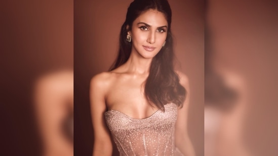 Vaani Kapoor donned a rose gold strapless corset top and teamed it with a pair of loose-fit pleated trousers.(Instagram/@_vaanikapoor_)