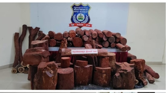 Five held for smuggling red sanders - Public TV English