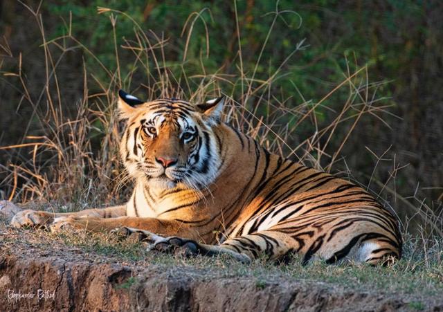 (Photo: Roopkumar Rathod)