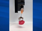 The image, taken from the YouTube video, shows a dead spider being used as a robotic gripper.