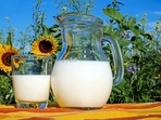Drinking milk didn't make us lactose tolerant, study says(Pixabay) Drinking milk didn't make us lactose tolerant, study says(Pixabay)